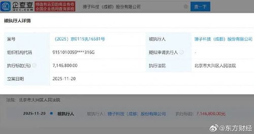 羅永浩公司再被執(zhí)行715萬 回應(yīng)稱5年前已完成債務(wù)清償